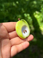 Worry Stone